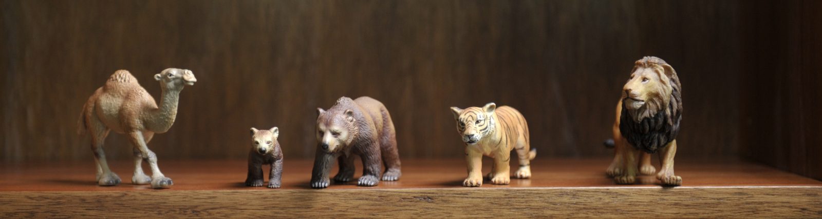 Detail aus der Kanzlei: Schleich-Tierfiguren im Regal